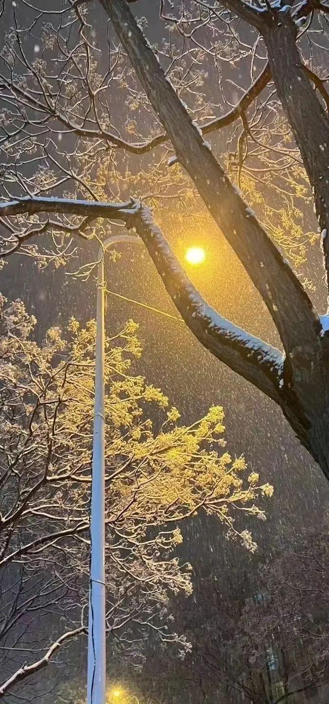 包含好看的雪景壁纸手机版的词条